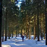 Tannenblick 6-2 Oberhof (Thuringia)
