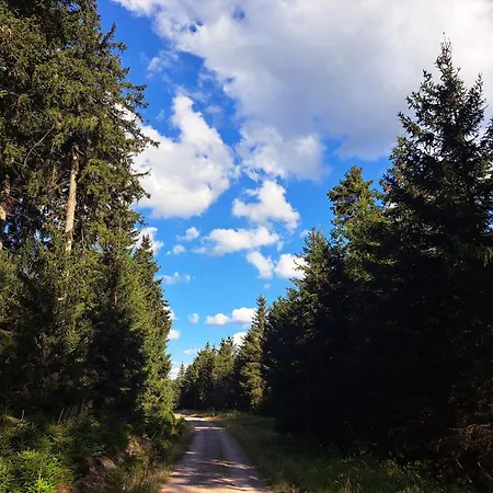 Tannenblick 6-2 Apartamento *