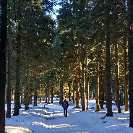 Tannenblick 6-2 Oberhof (Thuringia)