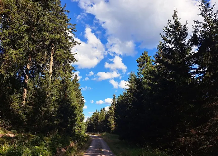 Tannenblick 6-2 Apartament *